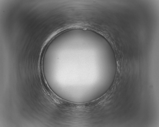 X0000080780196200612151040