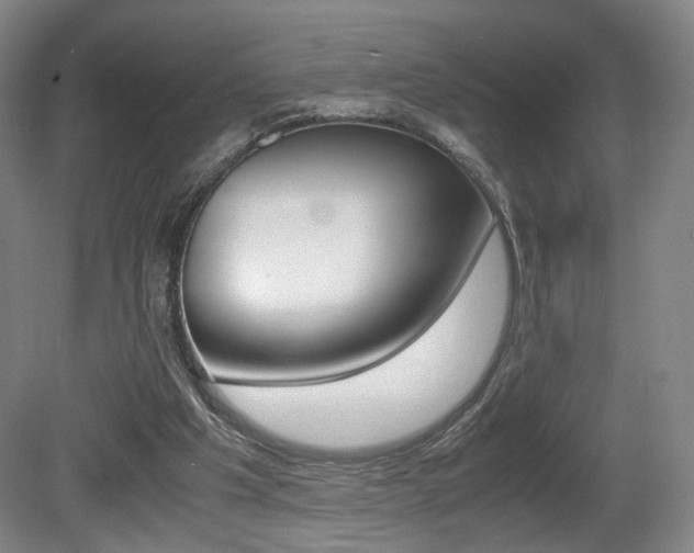 X0000080780201200612151040