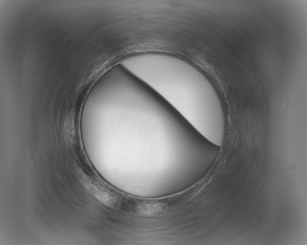 X0000080780202200612151040