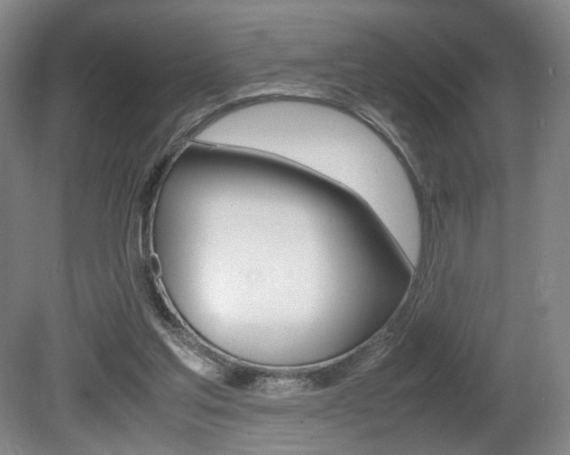 X0000080780205200612151040
