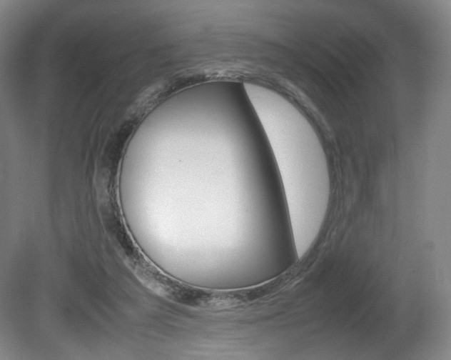 X0000080780209200612151040