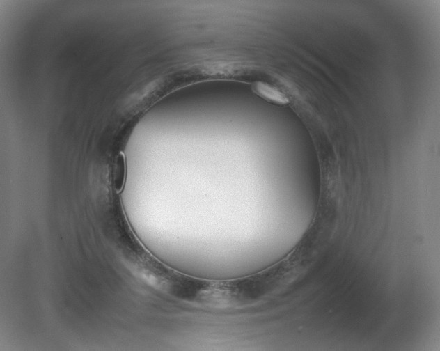 X0000080780211200612151040