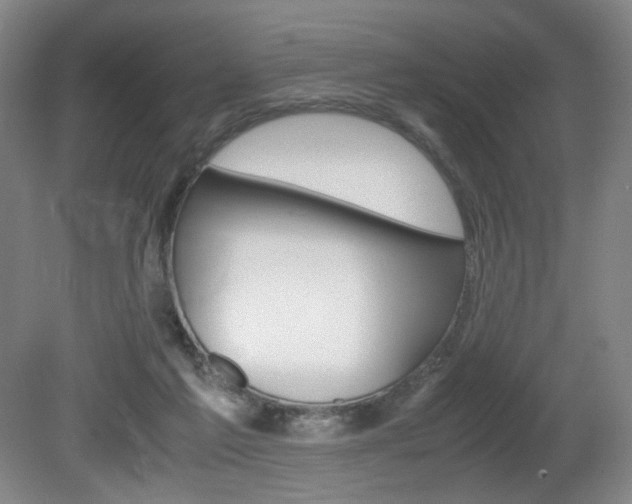 X0000080780213200612151040