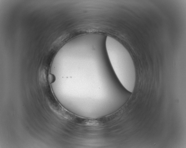 X0000080780214200612151040