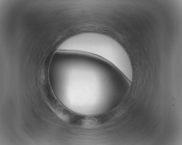 X0000080780215200612151040