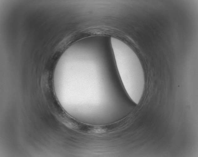 X0000080780217200612151040