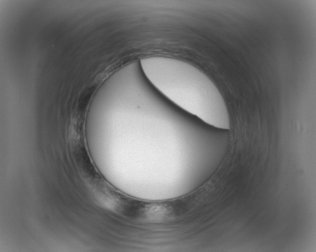 X0000080780218200612151040