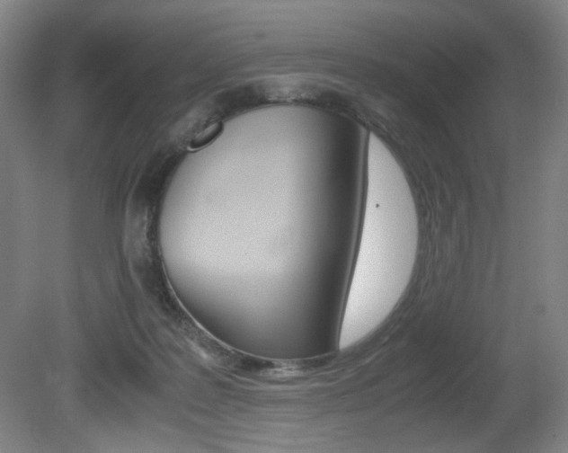 X0000080780219200612151040