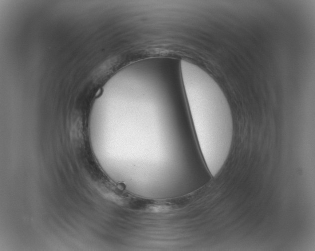 X0000080780220200612151040