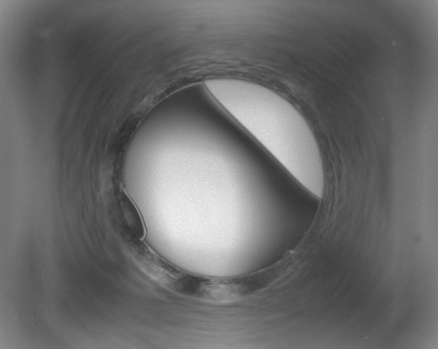 X0000080780221200612151040