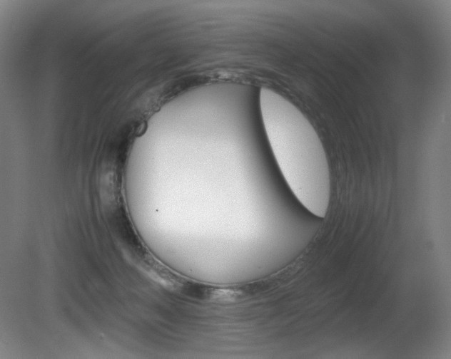 X0000080780222200612151040