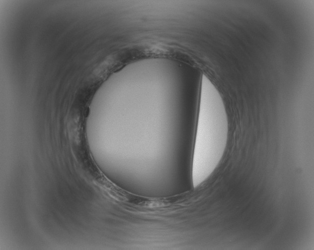 X0000080780223200612151040