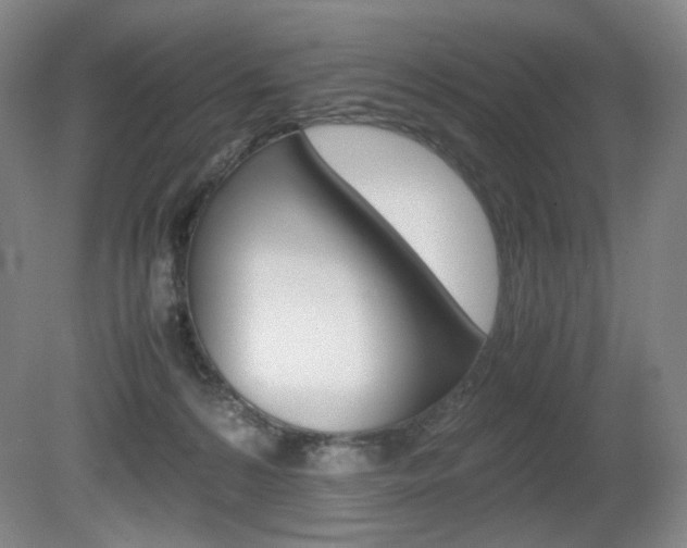 X0000080780224200612151040