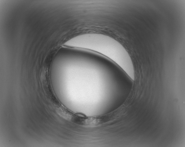 X0000080780225200612151040