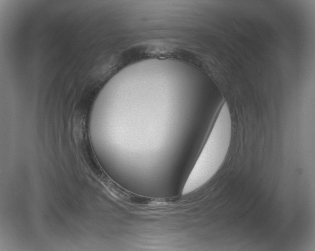 X0000080780227200612151040