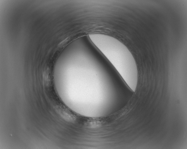 X0000080780228200612151040