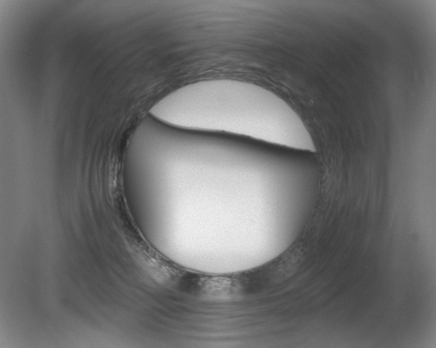 X0000080780230200612151040