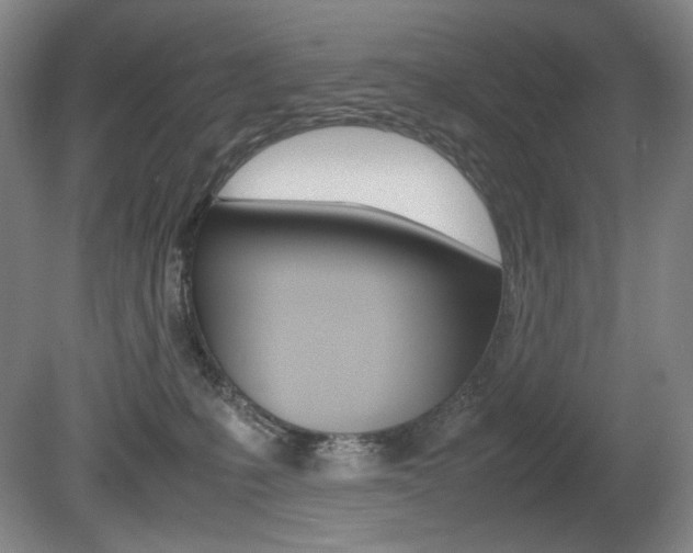 X0000080780231200612151040
