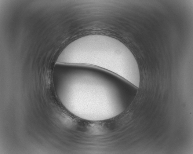 X0000080780232200612151040