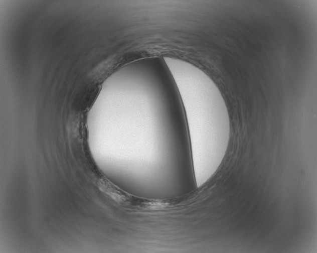X0000080780233200612151040