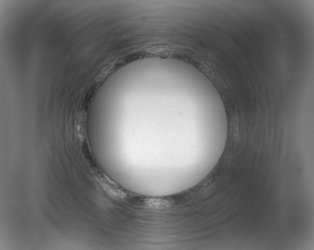 X0000080780234200612151040