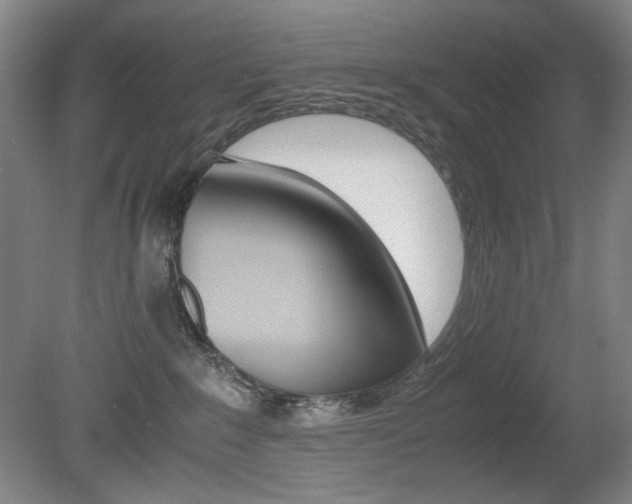X0000080780235200612151040