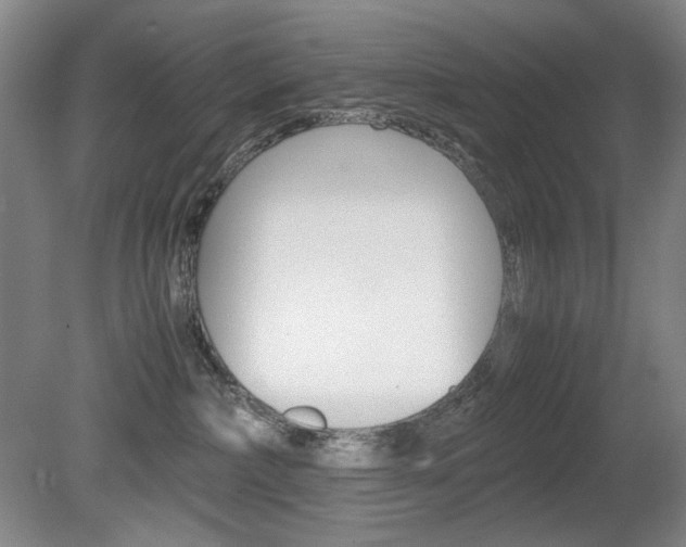 X0000080780236200612151040