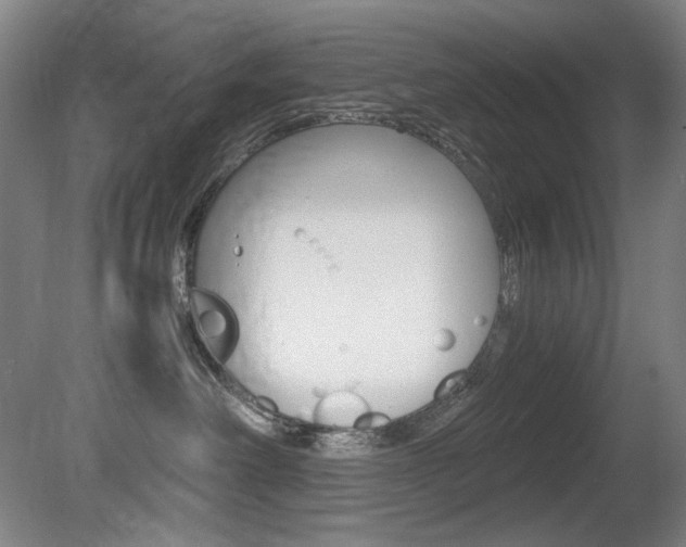 X0000080780238200612151040