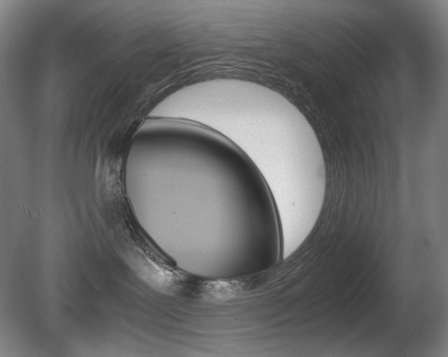 X0000080780239200612151040