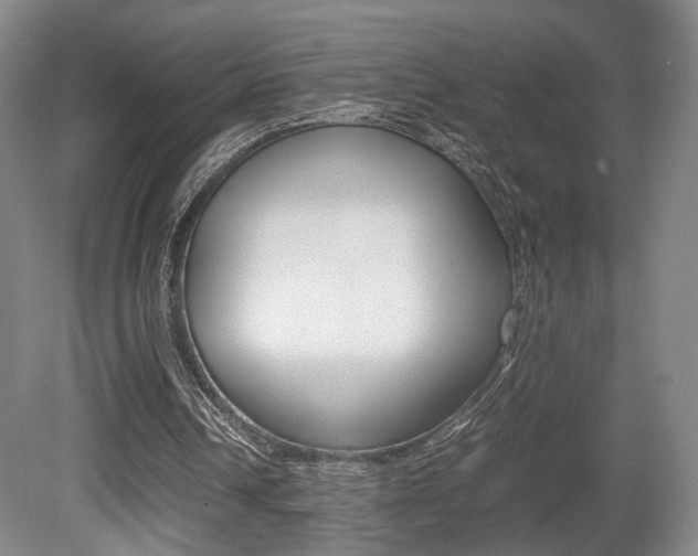 X0000080780242200612151039