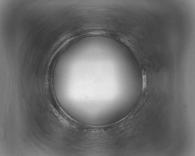 X0000080780243200612151039
