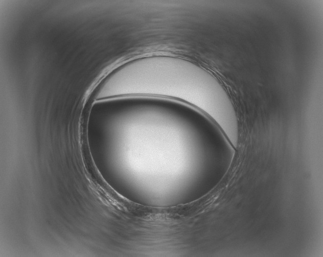 X0000080780244200612151039