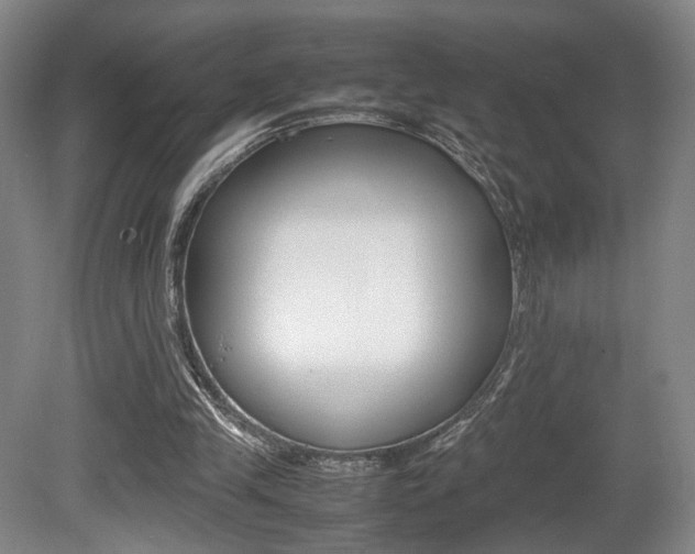 X0000080780245200612151039
