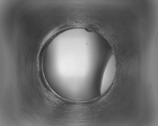 X0000080780246200612151039