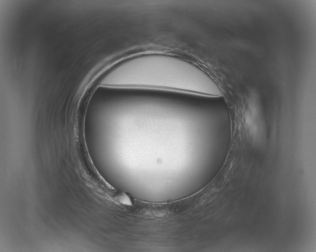 X0000080780247200612151039