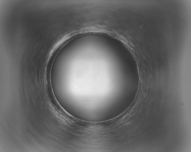 X0000080780248200612151039