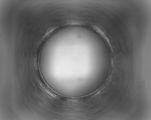 X0000080780249200612151039