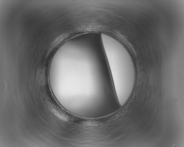 X0000080780250200612151039