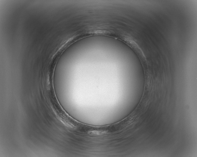 X0000080780251200612151039