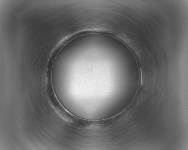 X0000080780252200612151039