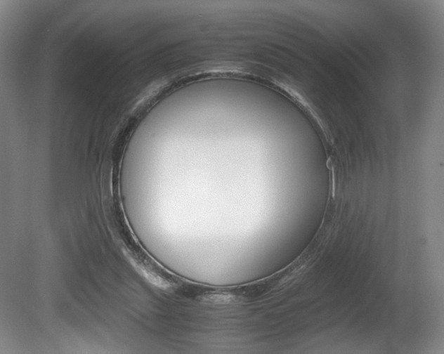 X0000080780253200612151039