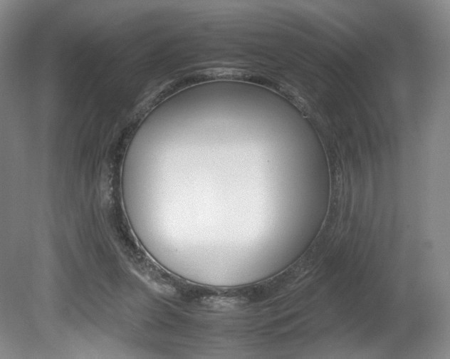 X0000080780255200612151039
