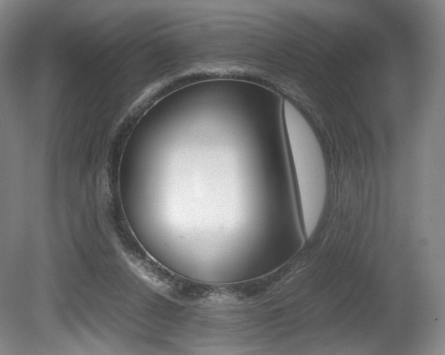 X0000080780256200612151039