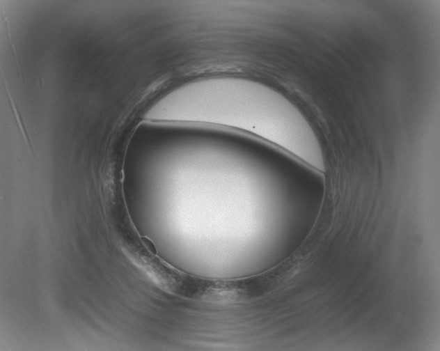 X0000080780260200612151039