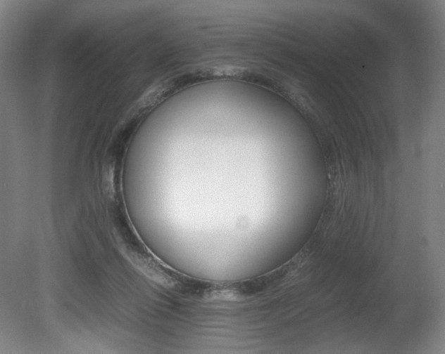 X0000080780262200612151039