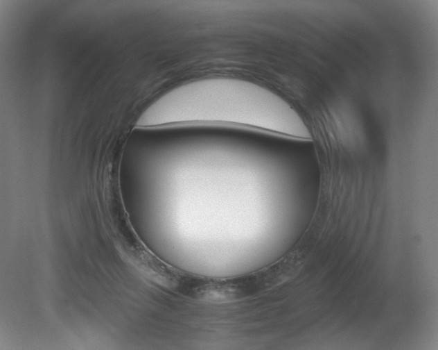 X0000080780263200612151039