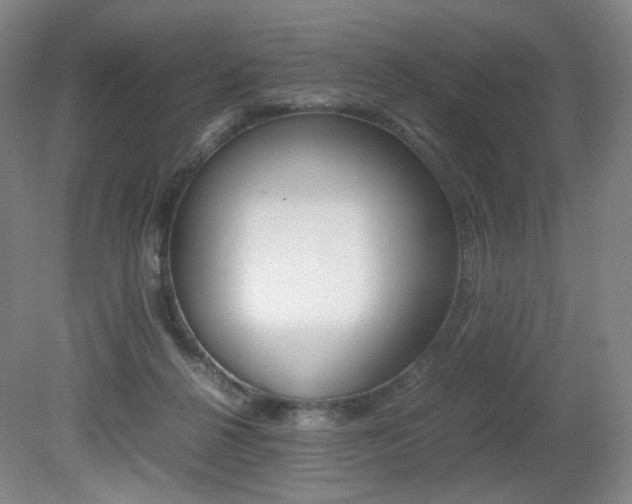 X0000080780264200612151039