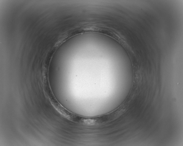 X0000080780265200612151039