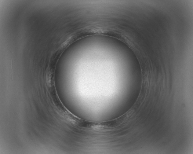 X0000080780268200612151039