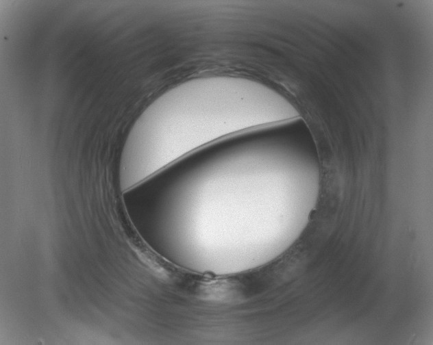 X0000080780269200612151039
